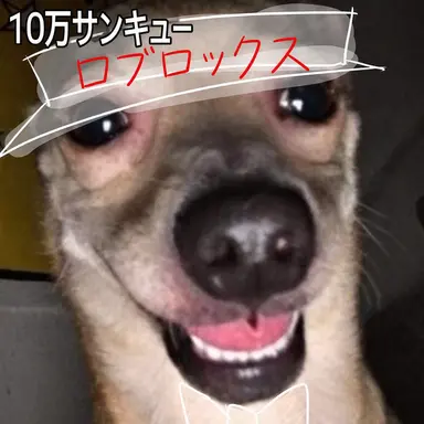 Profile image of ベイ
