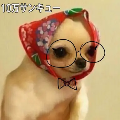 Profile image of モカ