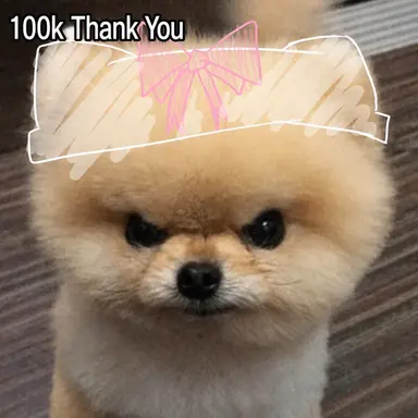 Profile image of Rachan