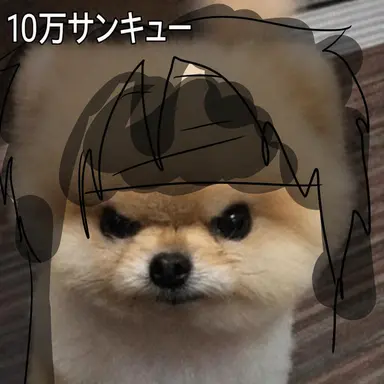 Profile image of セラ