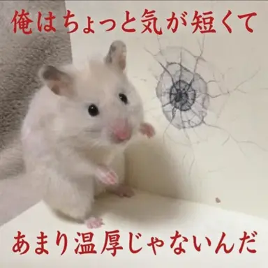 Profile image of ウリヨ