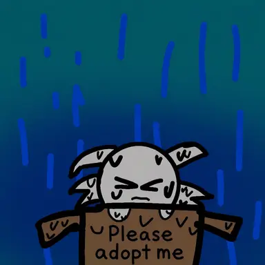 Profile image of Adoptable Wenda