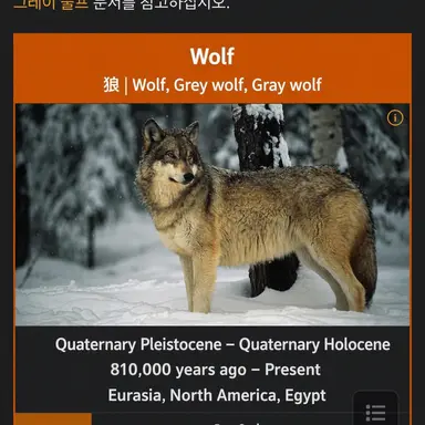 Profile image of Wolf