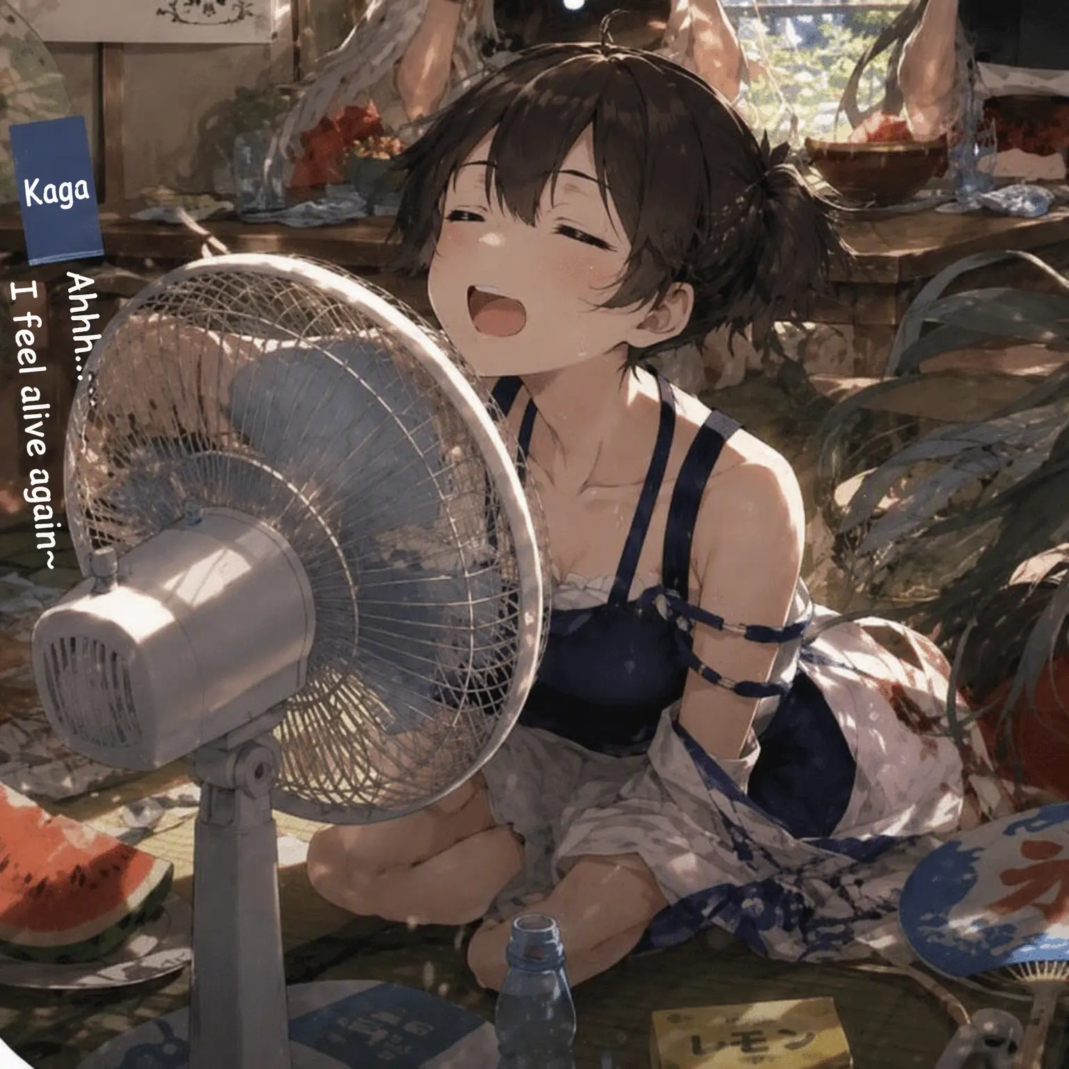 EvenSnore2386의 Aircraft Carriers' Summer Vacation