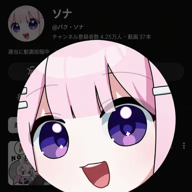 Profile image of ソンハ