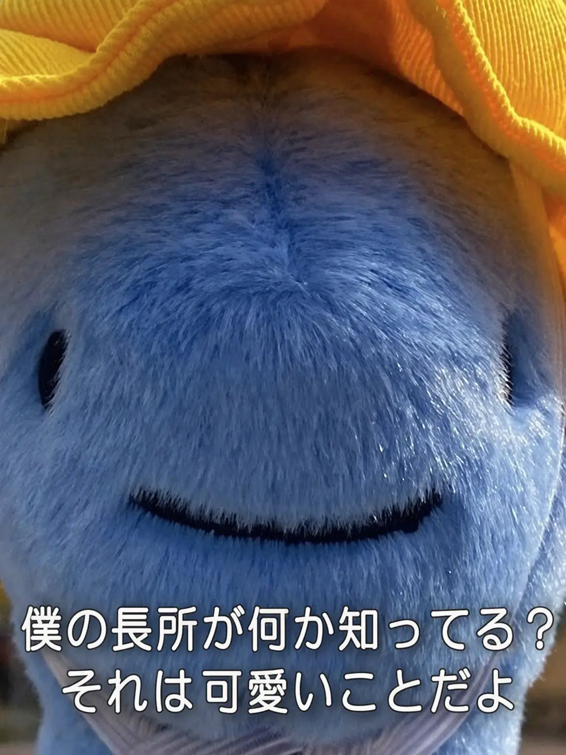 Sally10505의 酔っ払いドリーミー？