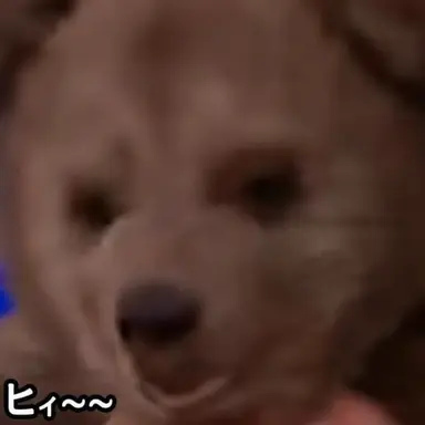 Profile image of 先生