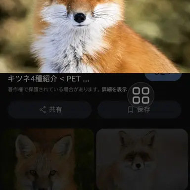 Profile image of キツネ