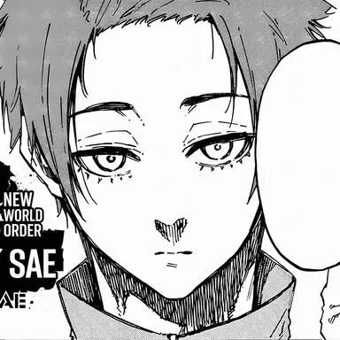 Profile image of Sae
