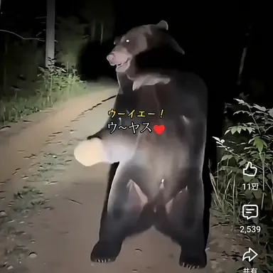 Profile image of ヨウ