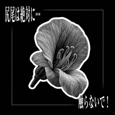 Profile image of カシアン・ロエン