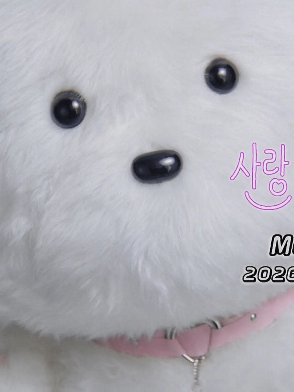 PeachySocks6106의 사랑, 시작했습니다
