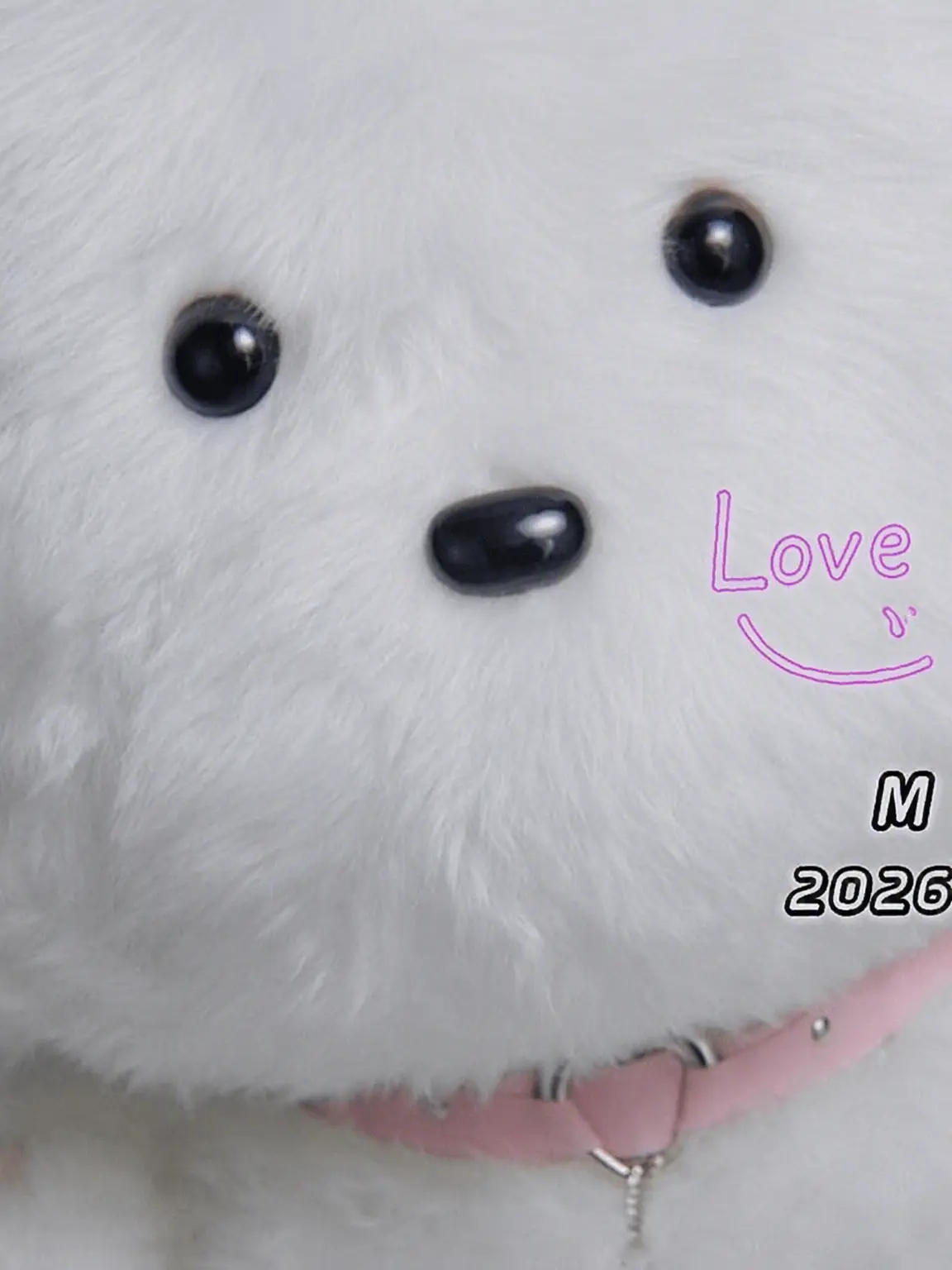 PeachySocks6106의 Love, Started