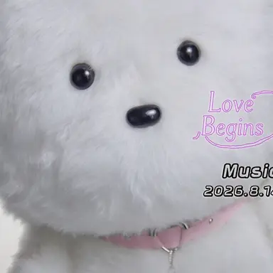 Profile image of Mr. Bear
