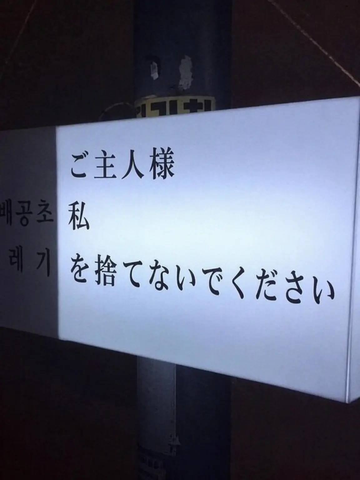 twixx의 三バカに拾われる