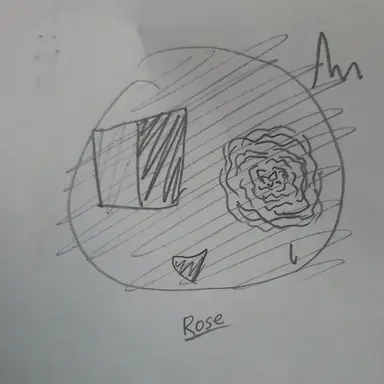 Profile image of Rose