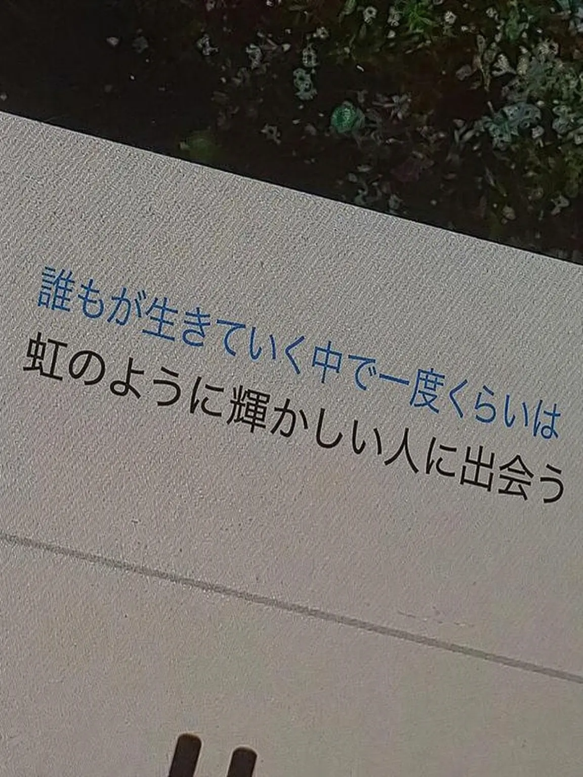 milkoy486의 君の首を絞める夢を見た。