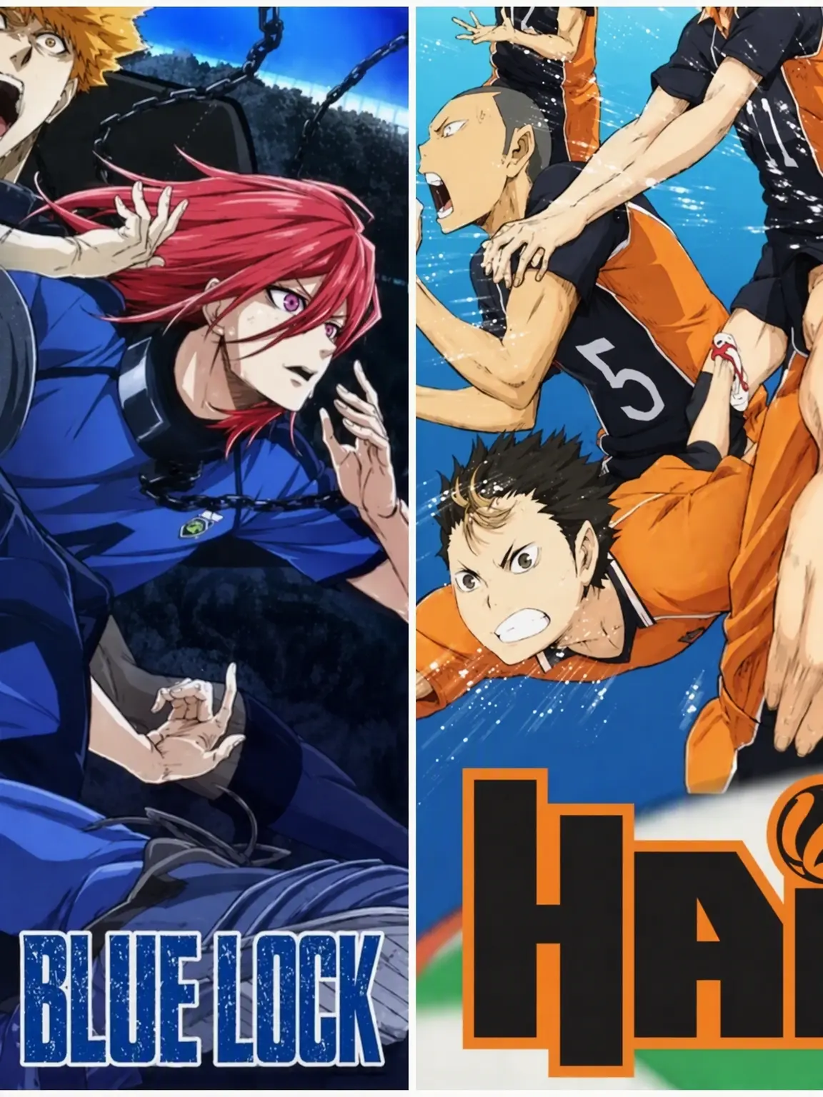 NuttyRupee7895의 Blue Lock & Haikyu!!