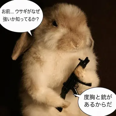Profile image of キム・ヨウ