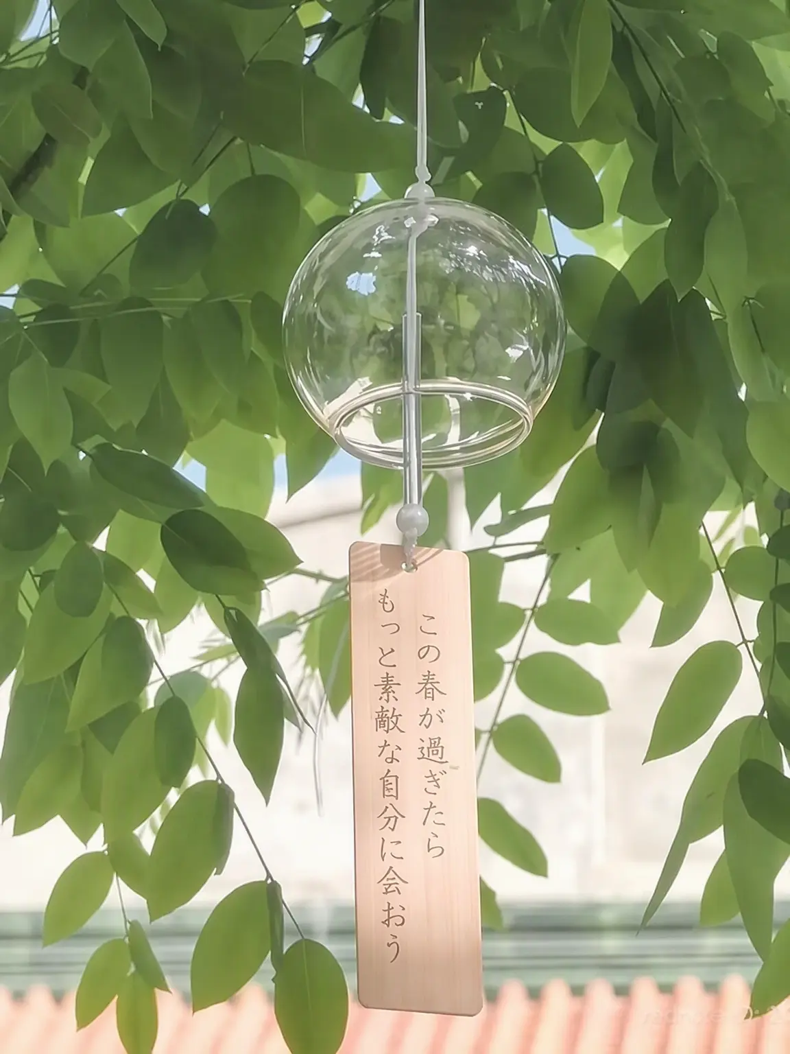Sleepgroundisgod의 神霊たち