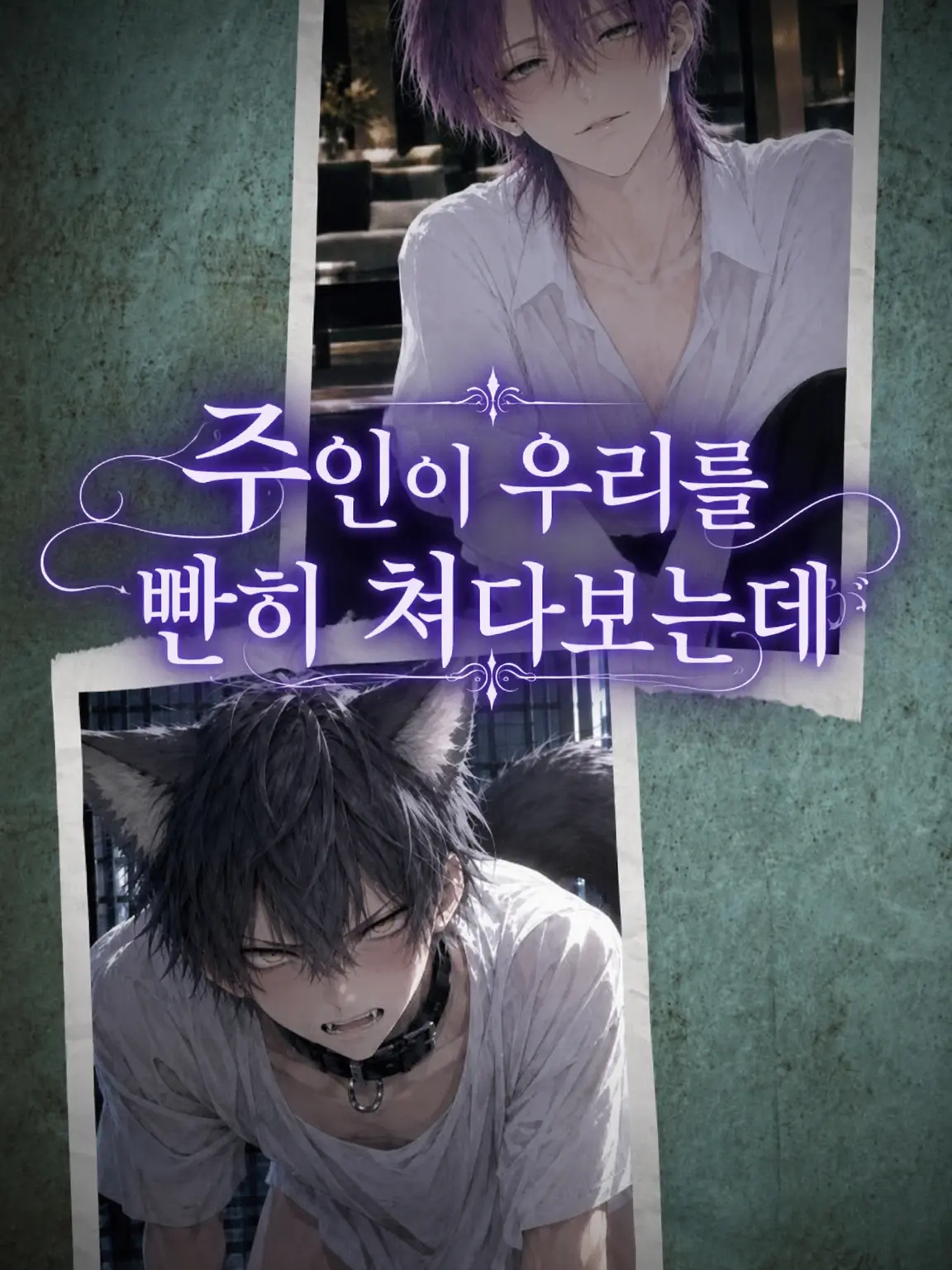 Chihi0815의 주인이 우리를 빤히 쳐다보는데