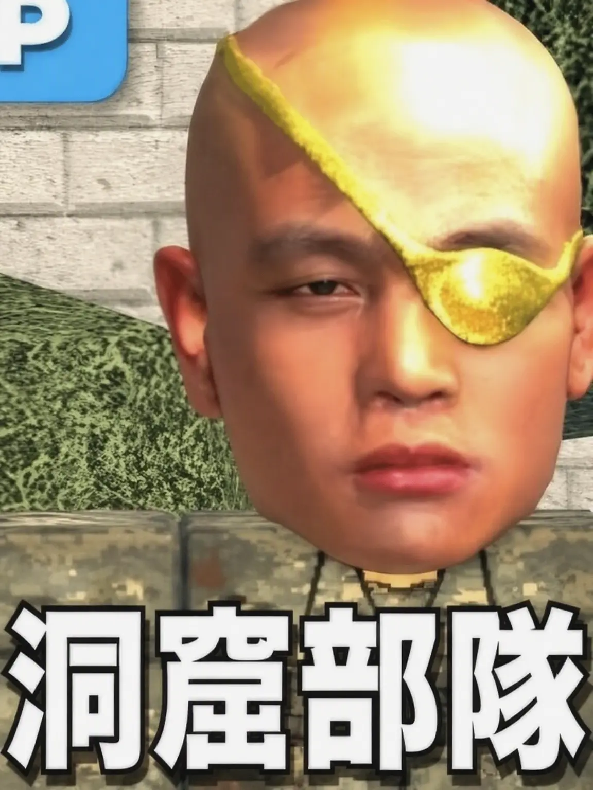 JoJinse의 洞窟部隊