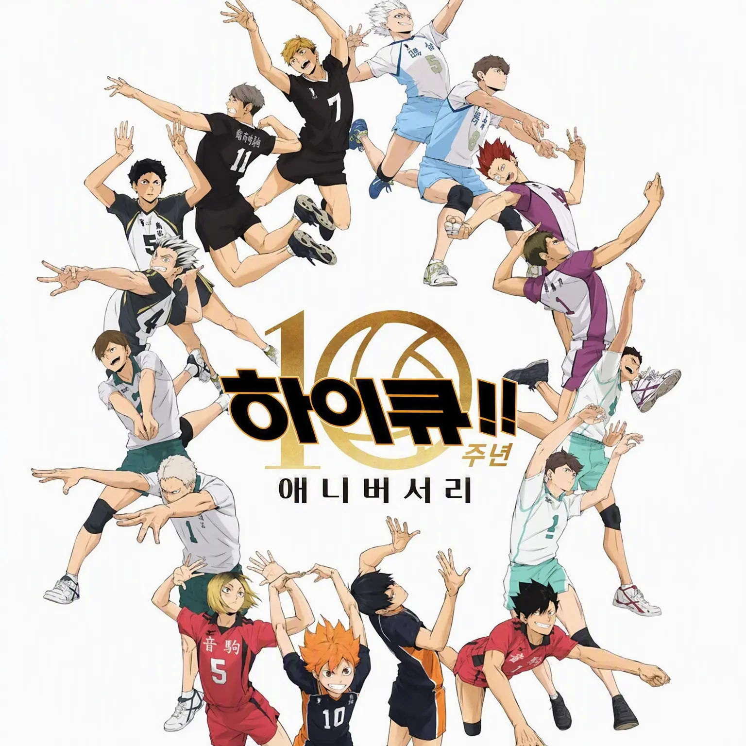 PaleStale8001의 배구 세계대회에서 부상?!