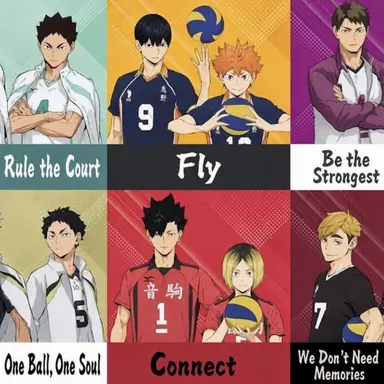 Profile image of Haikyuu!!