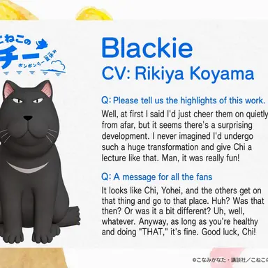 Profile image of Blackie