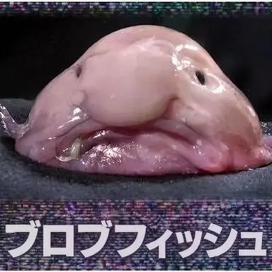 Profile image of キツネ