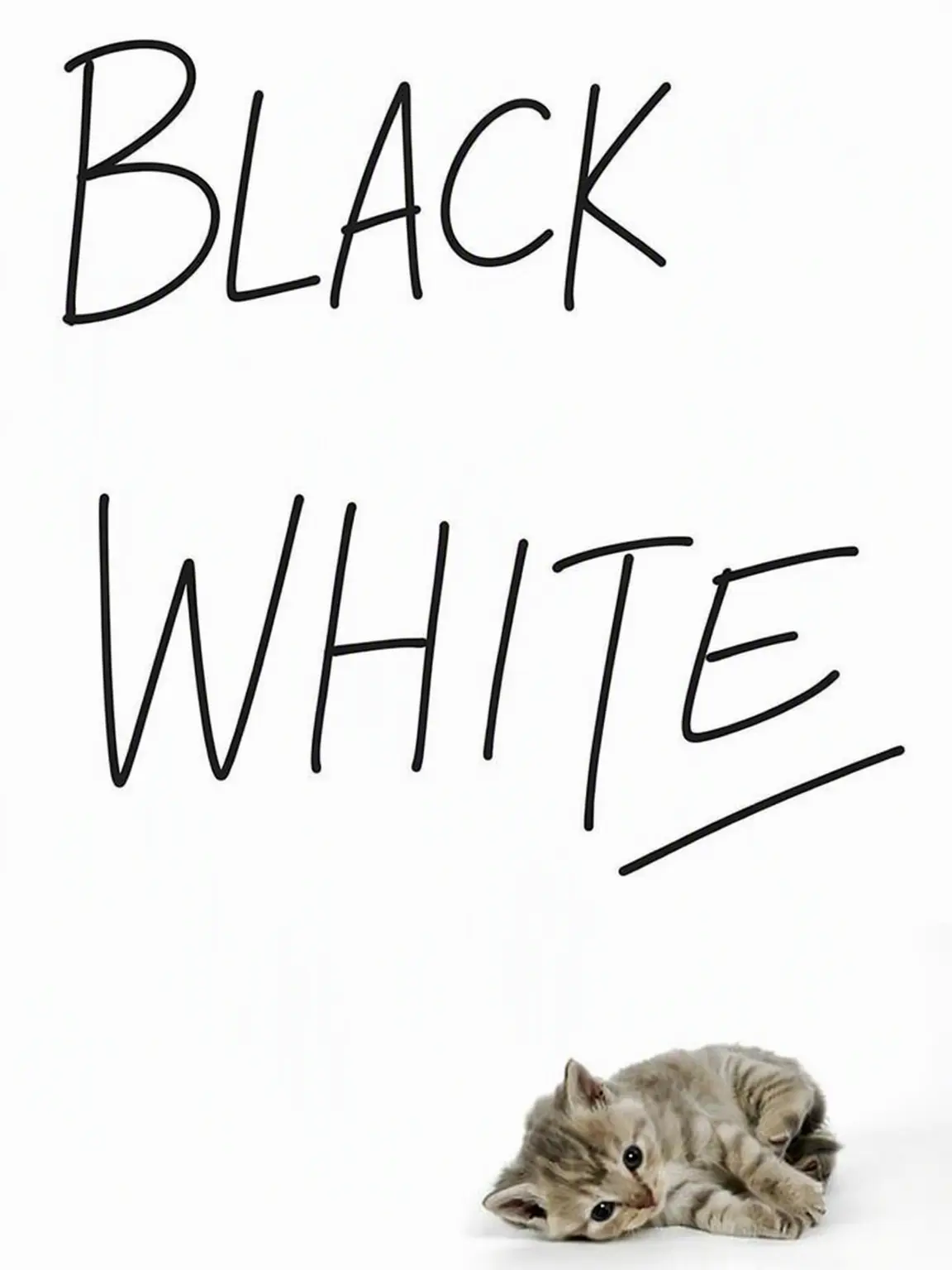 SorryTank382의 Black & Whites