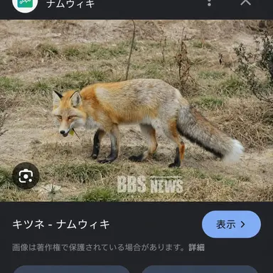 Profile image of ヨウ