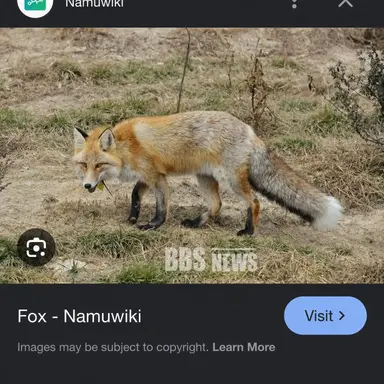 Profile image of Yeou