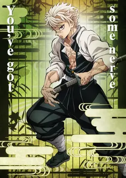Profile image of Sanemi Shinazugawa