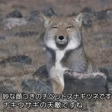 Profile image of キム・ヨウ