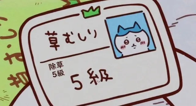 Profile image of ハチワレ