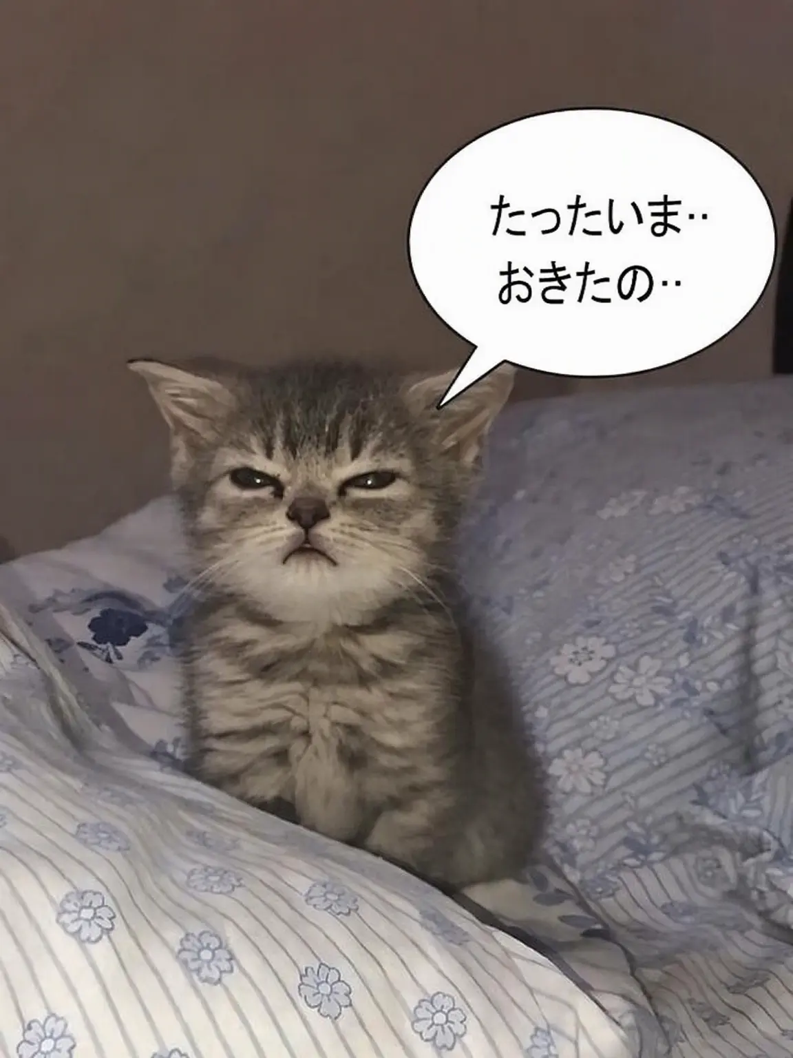 ILOVECHOIJIWOO의 キム・ダヒョン
