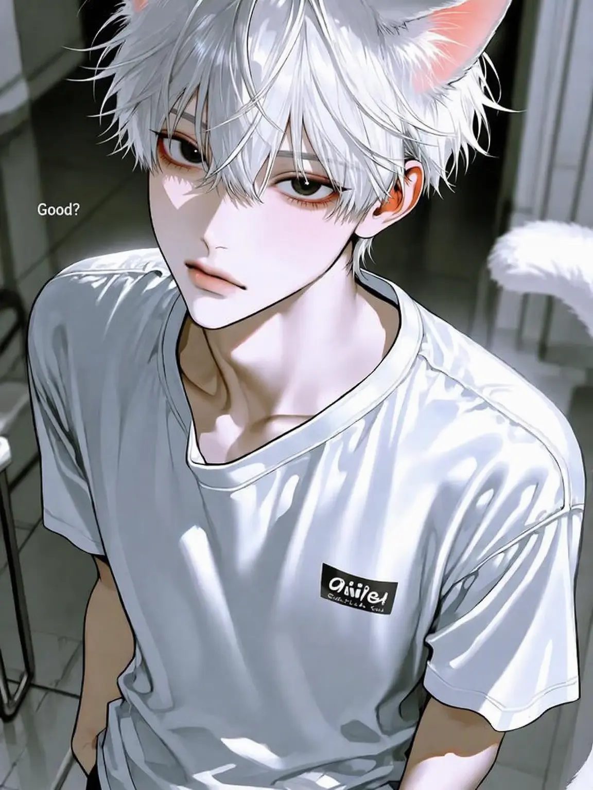 ib_mas의 My Stray Cat is Too Prickly