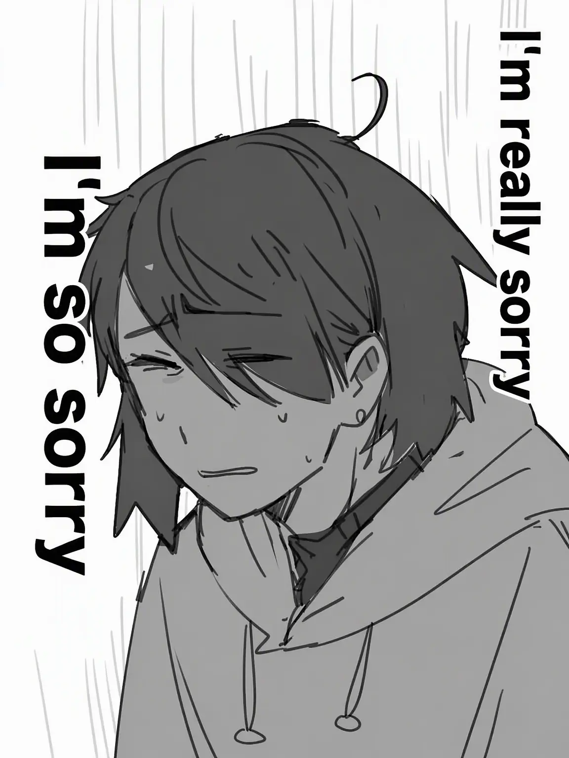 Zetanumameriwo의 I'm Sorry, Seriously Sorry