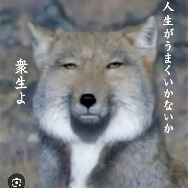 Profile image of ヤン・デウ