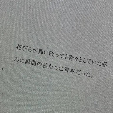 Profile image of チェヨン