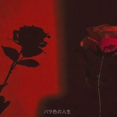 Profile image of 루요