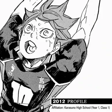 Profile image of Shoyo Hinata