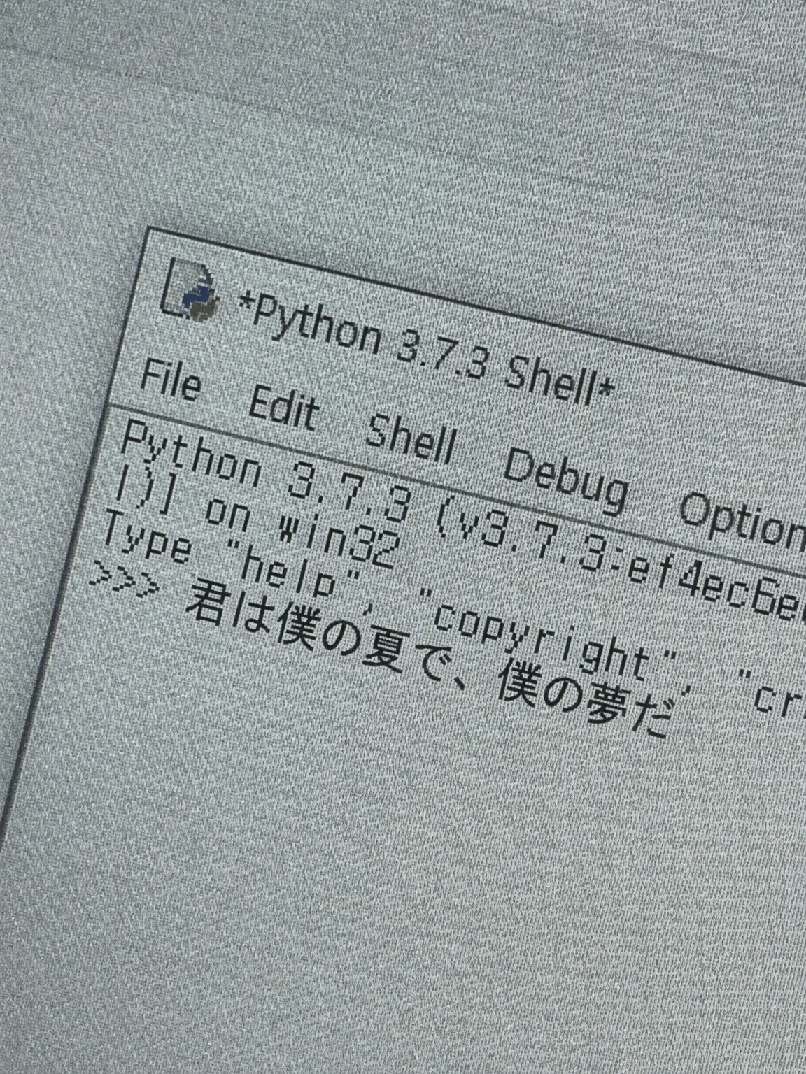 NuttyCoach4857의 ヘアゴム