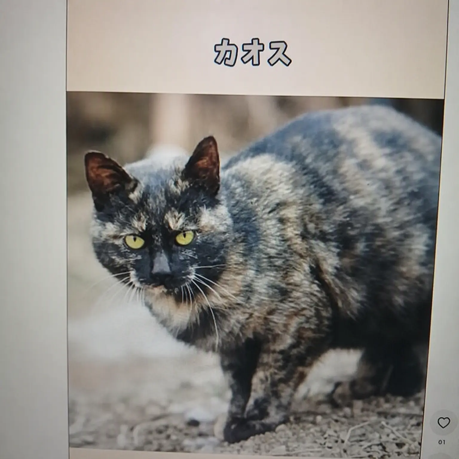 Part_time_worker_at_ETN_store.의 うちの猫が人間に?!