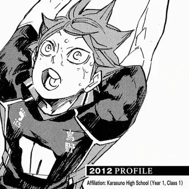 Profile image of Shoyo Hinata