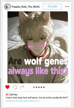 Profile image of Jin