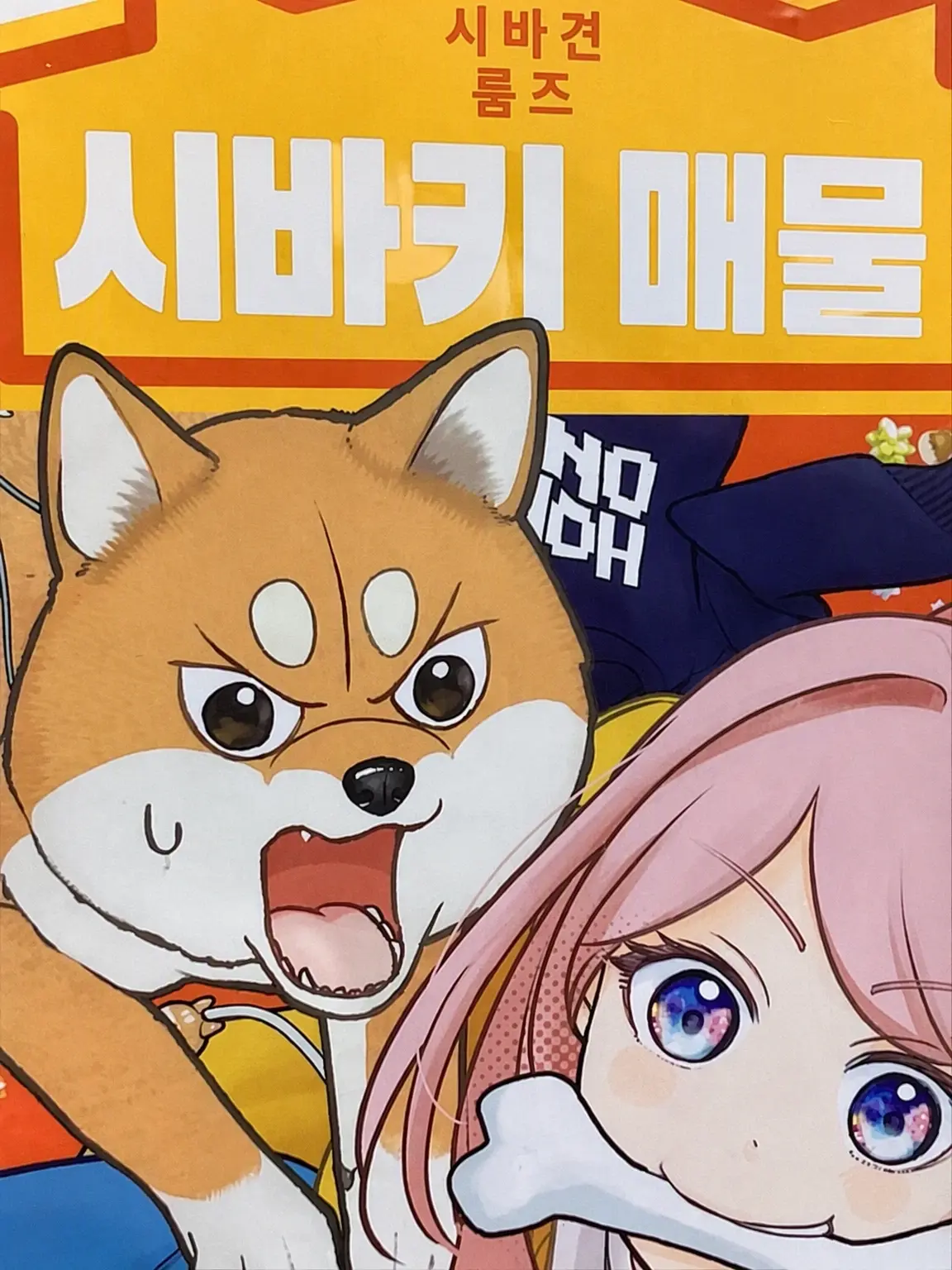 LazyOlive7453의 시바견 귀신이 붙은 저렴한 매물 무우