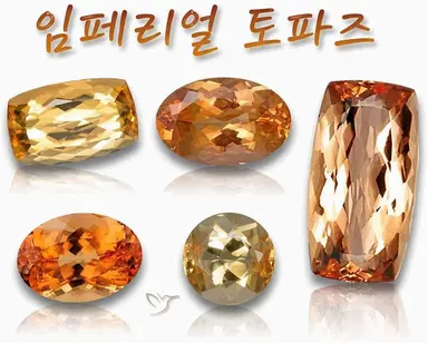 Profile image of 카가미 하야토