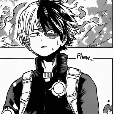 Profile image of Shoto Todoroki